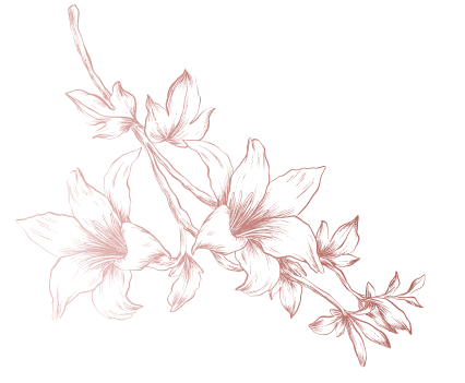 Delfy Beauty Ltd | Luxury Beauty, Hair & Clothing Brand – UK 3 flower left 1