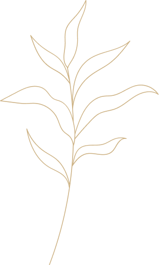 leaf1 h5