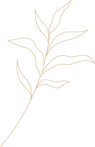 leafw h5