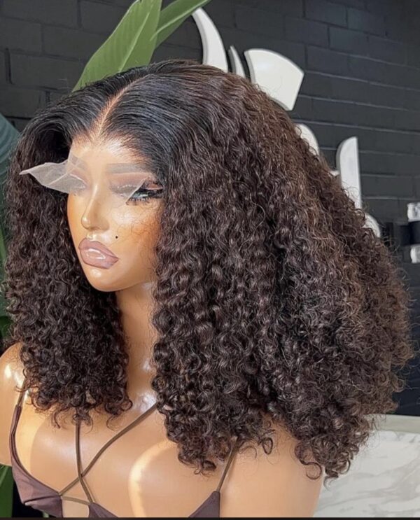 Raw Burma Deep Curly HD 5by5 Lace Front Wig