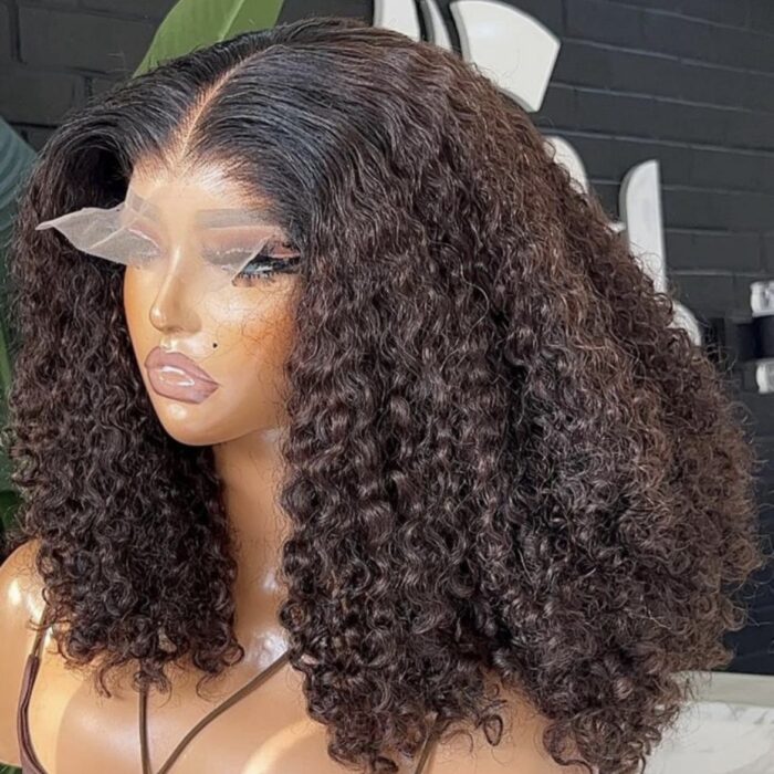 Raw Burma Deep Curly HD 5by5 Lace Front Wig